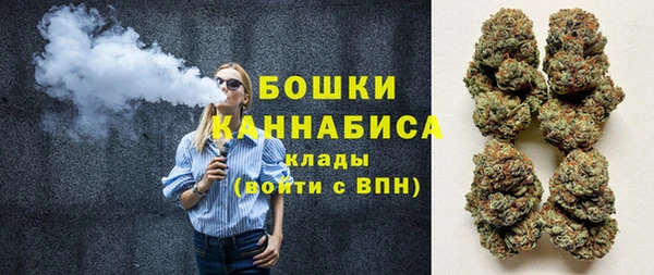 ALPHA PVP Остров