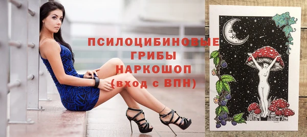 мет Пересвет