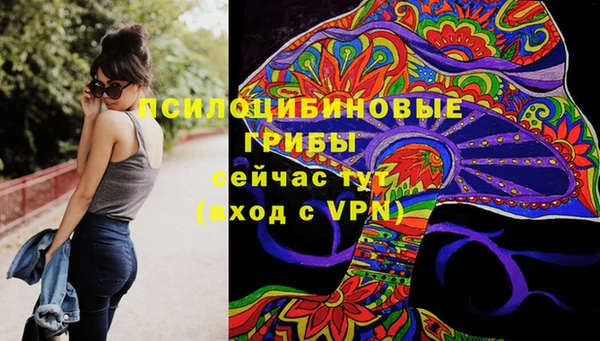 мет Пересвет