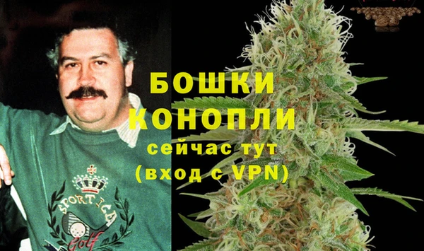 мет Пересвет