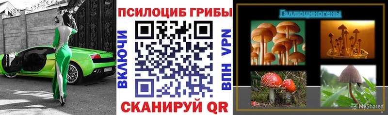 Псилоцибиновые грибы мицелий  наркота  Балаково 